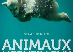 animaux-merveilleux-en-danger-hugo-cie