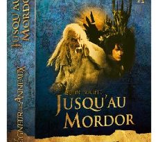 le-seigneur-des-anneaux-jusqu-au-Mordor-jeu-404
