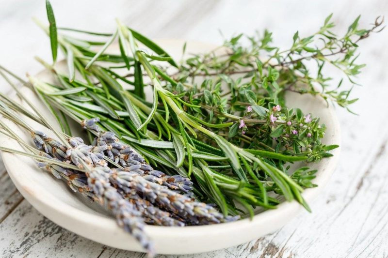 tisane au thym pour soigner troubles urinaires