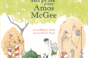 une-surprise-pour-Amos-McGee-Kaleidoscope