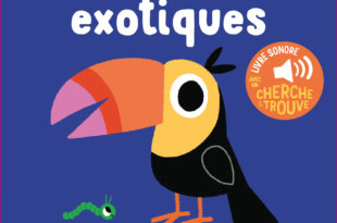 Les oiseaux exotiques