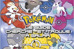 pokémon-le-guide-cherche-et-trouve-18-types-galar-livres-dragon-or