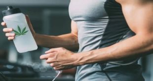 sportifs cbd