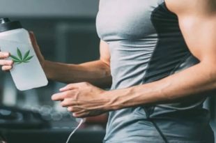 sportifs cbd