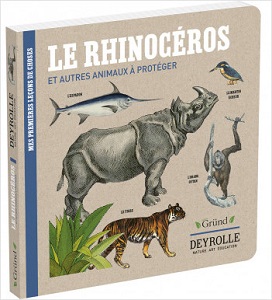 le-rhinocéros-autres-animaux-proteger-grund-deyrolle