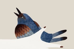 main-oiseau
