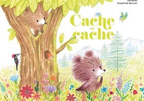 cache-cache-histoires-père-castor-flammarion
