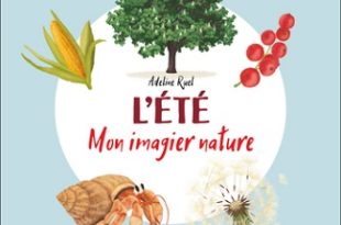 mon-imagier-nature-été-flammarion