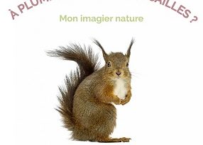 a-plumes-a-poils-ou-a-ecailles-imagier-nature-delachaux-niestlé