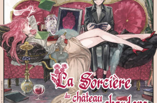 sorciere-chateau-chardons.jpg