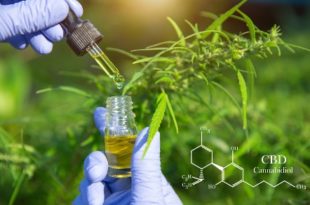 CBD 100% BIO