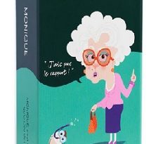 Monique-jeu-ambiance-francais-boite