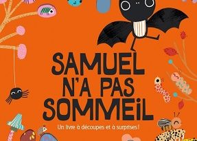 Samuel-n-a-pas-sommeil-quatre-fleuves