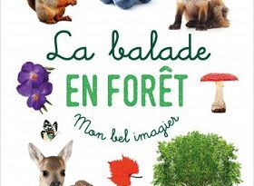la-balade-en-foret-mon-bel-imagier-Langue-au-chat