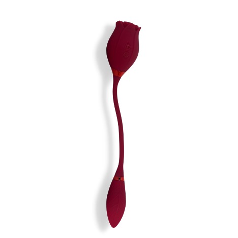 Best Vibrators For Women in 2022 bis