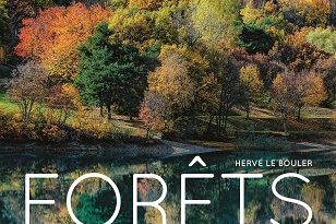 Forets-des-racines-et-des-hommes-delachaux-niestle