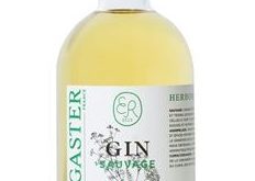 ergaster-Gin-sauvage-herboriste