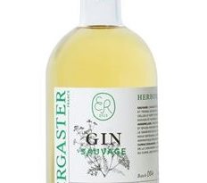 ergaster-Gin-sauvage-herboriste