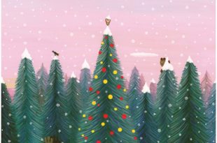 Il était une fois la chouette de Noël