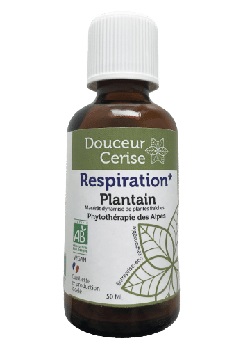 Plantain-Respiration-bio-Douceur-cerise