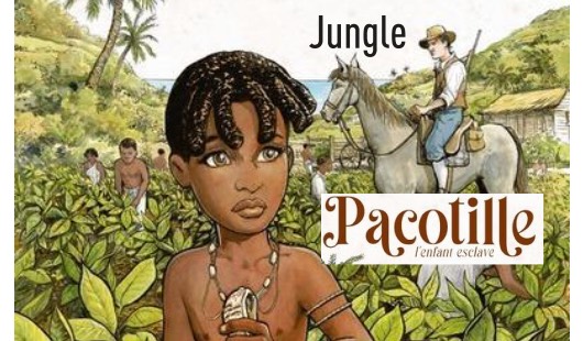 Pacotille, l’enfant esclave Tome 1 – De l’autre côté de l’océan aux Éditions Jungle