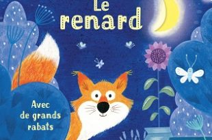 mon-petit-livre-a-rabats-le-renard-Usborne