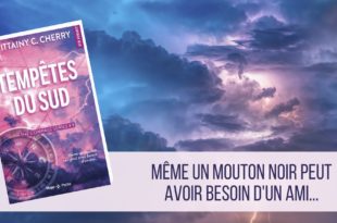 Tempêtes du Sud - Brittainy C Cherry