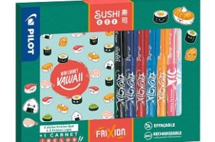 box-sushi-pilot-FriXion