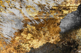 L'impression photo sur plexiglas