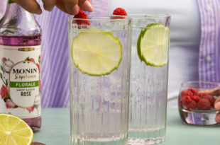 MONIN Expérience