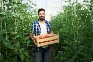champions de l’agriculture française