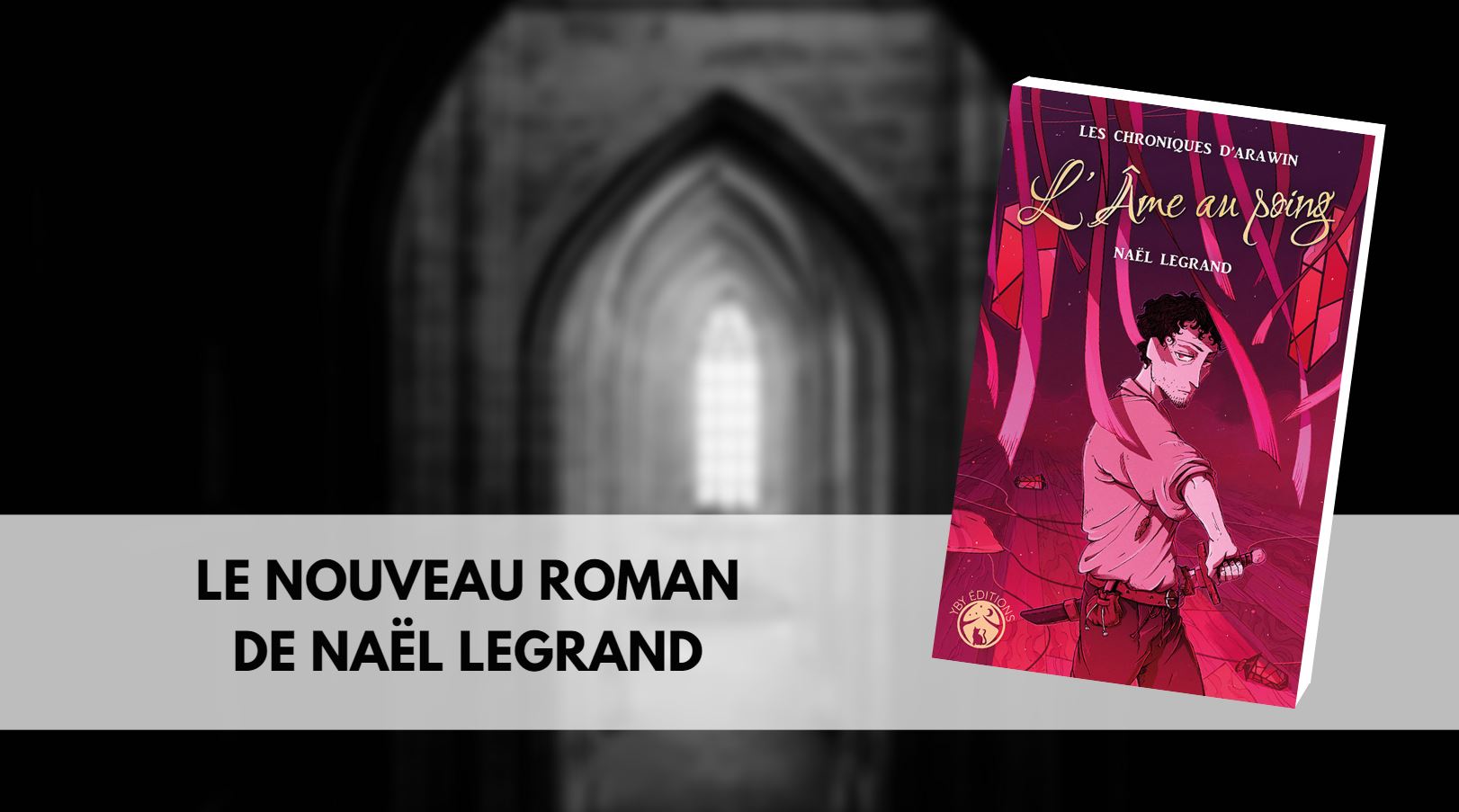 L'âme au poing Naël Legrand YBY Editions