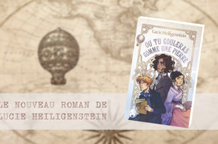 Ou-tu-couleras-comme-une-pierre-Lucie-Heiligenstein-YBY-Editions