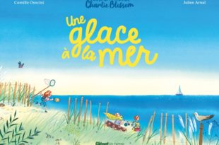 une glace à la mer