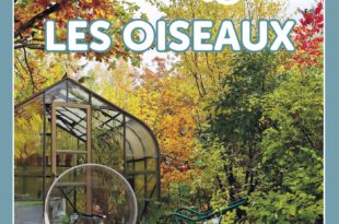 Cherche et trouve en photos