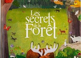 les-secrets-de-la-foret-Glenat