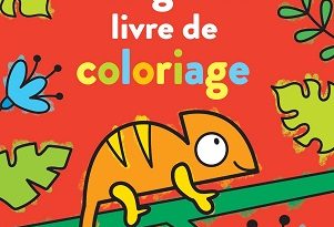 mon-grand-livre-de-coloriage-Usborne