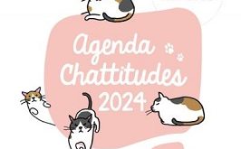 agenda-chattitudes-2024-Larousse