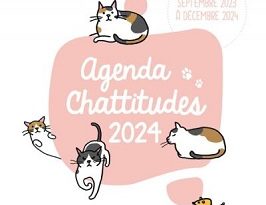 agenda-chattitudes-2024-Larousse