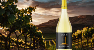 Mystère jaune 2021 vin domaine du Cauhapé