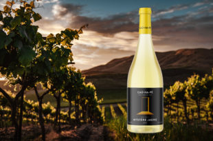 Mystère jaune 2021 vin domaine du Cauhapé