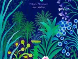 pas-betes-les-plantes-Sarbacane