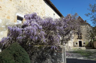 Maison Jeanne d'Albret musée du protestantisme à Orthez @JB Tournié
