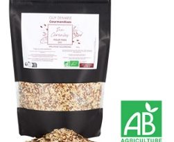 Guy-Demarle-mélange-6-cereales-bio-pains