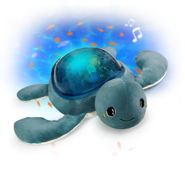 Tortue Aquadream