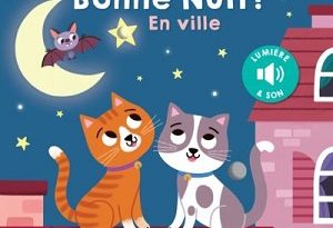 mon-livre-son-lumiere-Bonne-nuit-en-ville-Larousse