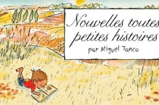 nouvelles-toutes-petites-histoires-Grasset