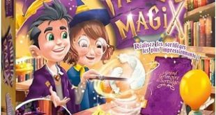 Fabulus-magix-jeu-Dujardin