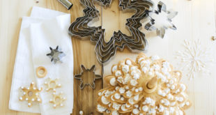 Guy-Demarle-kit-sapin-de-noel-en-biscuits