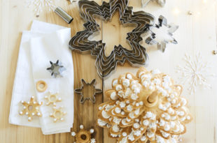 Guy-Demarle-kit-sapin-de-noel-en-biscuits